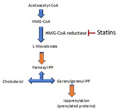 Undertreatment or Overtreatment With Statins: Where Are We?